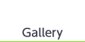 ギャラリー